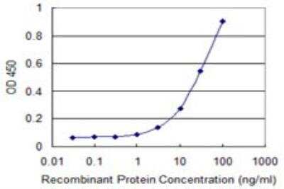 ELISA: FoxM1 Antibody (2H4) [H00002305-M05]