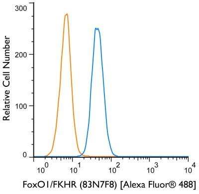 Flow Cytometry: FoxO1/FKHR Antibody (83N7F8) - BSA Free [NBP2-31376]