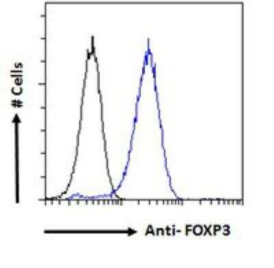 Flow Cytometry: FoxP3 Antibody [NB600-243]