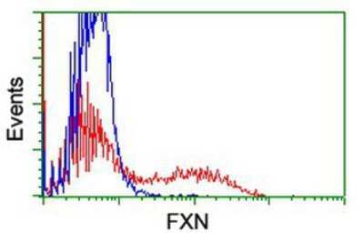 Flow Cytometry: Frataxin Antibody (OTI1C12) [NBP2-01743]