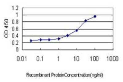 ELISA: Frizzled-5 Antibody (6A3) [H00007855-M01]