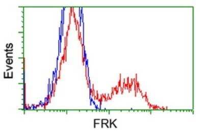 Flow Cytometry: Frk Antibody (OTI6D2) - Azide and BSA Free [NBP2-70775]