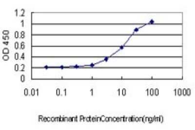 ELISA: GABA-B R1 Antibody (2D7) [H00002550-M01]