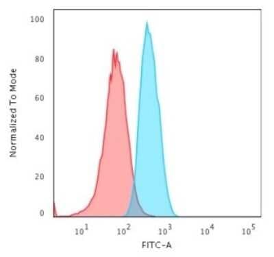 Flow Cytometry: GAD1/GAD67 Antibody (GAD1/2563) [NBP2-79803]