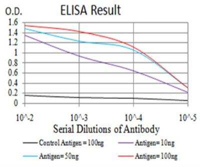 ELISA: GAD2/GAD65 Antibody (5D9G12) - BSA Free [NBP2-52471]