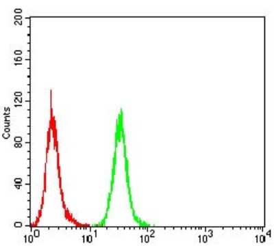 Flow Cytometry: GAD2/GAD65 Antibody (5D9G12) - BSA Free [NBP2-52471]