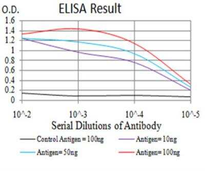 ELISA: GAD2/GAD65 Antibody (5D9G9) - BSA Free [NBP2-52470]