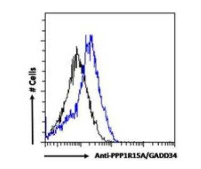 Flow Cytometry: GADD34 Antibody [NB100-778]