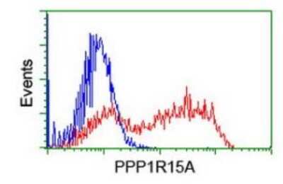 Flow Cytometry: GADD34 Antibody (OTI3D12) [NBP2-01787]