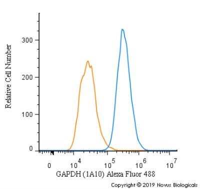 Flow Cytometry: GAPDH Antibody (1A10) - Azide and BSA Free [NBP2-80748]