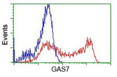 Flow Cytometry: GAS7 Antibody (OTI2F6) [NBP2-03061]