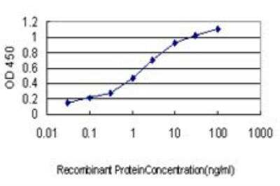 ELISA: GATA-2 Antibody (2D11) [H00002624-M01]
