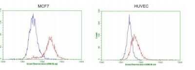 Flow Cytometry: GATA-3 Antibody (OTI8H4) - Azide and BSA Free [NBP2-70796]