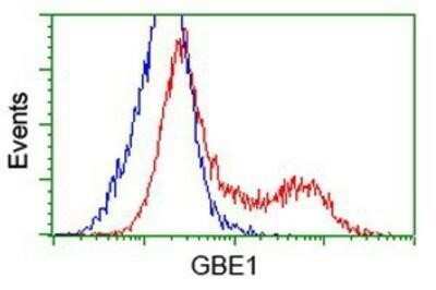 Flow Cytometry: GBE1 Antibody (OTI1D11) - Azide and BSA Free [NBP2-70810]