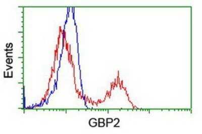 Flow Cytometry: GBP2 Antibody (OTI5C8) - Azide and BSA Free [NBP2-70812]