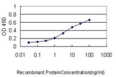 ELISA: GCLC Antibody (3H1) [H00002729-M01]