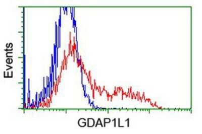 Flow Cytometry: GDAP1L1 Antibody (OTI1G5) [NBP2-00946]