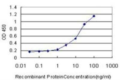 ELISA: GDF-11/BMP-11 Antibody (1E6) [H00010220-M03]