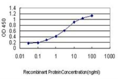 ELISA: GDF-7/BMP-12 Antibody (3C2) [H00151449-M04]