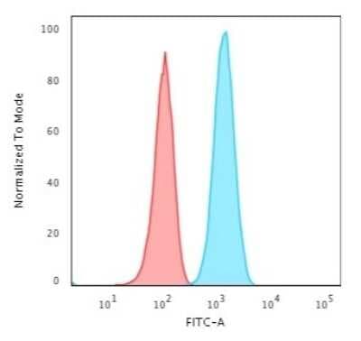 Flow Cytometry: GFAP Antibody (ASTRO/1974R) [NBP3-07877]