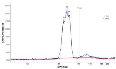 Simple Western: GFAP Antibody (GA-5)Azide and BSA Free [NBP2-33184]