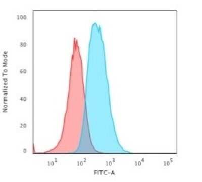 Flow Cytometry: GFAP Antibody (SPM248) - Azide and BSA Free [NBP2-34401]
