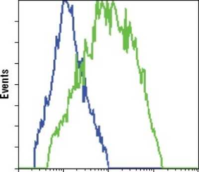 Flow Cytometry: GFP Antibody (4B10B2) - Azide and BSA Free [NBP2-80750]