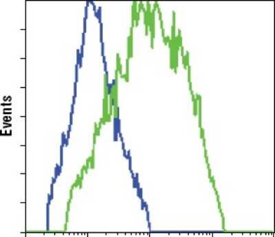 Flow Cytometry: GFP Antibody (4B10B2) - BSA Free [NBP2-22111]