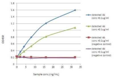 ELISA: GFP Antibody (859) [NBP2-43575]