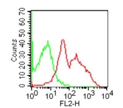 Flow Cytometry: GITR/TNFRSF18 Antibody (DTA-1) [NBP2-26661]