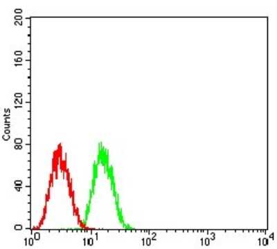 Flow Cytometry: GLI-1 Antibody (1B9F8) - BSA Free [NBP2-52475]