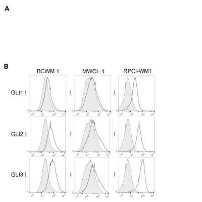 Flow (Intracellular): GLI-1 Antibody - BSA Free [NB600-600]