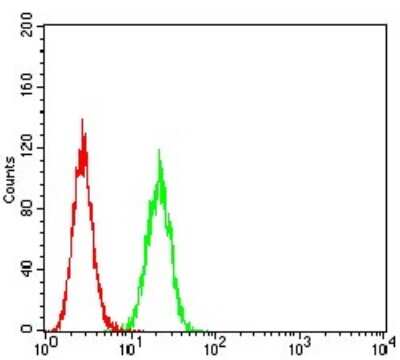 ELISA: GLRB Antibody (3B8A8) - BSA Free [NBP2-61774]