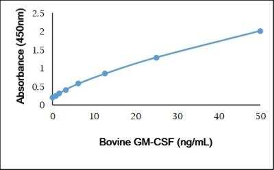 ELISA: GM-CSF Antibody [NBP3-11357]