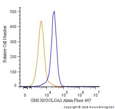 Flow Cytometry: GM130/GOLGA2 Antibody - BSA Free [NBP2-53420]
