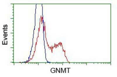 Flow Cytometry: Glycine N-Methyltransferase/GNMT Antibody (OTI8A3) [NBP2-02634]