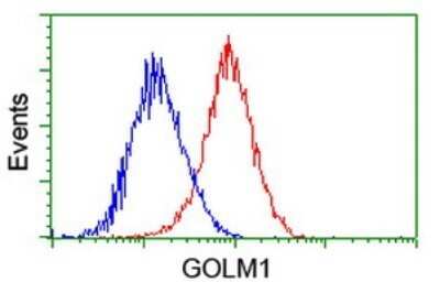 Flow Cytometry: GOLM1 Antibody (OTI4B12) - Azide and BSA Free [NBP2-71916]