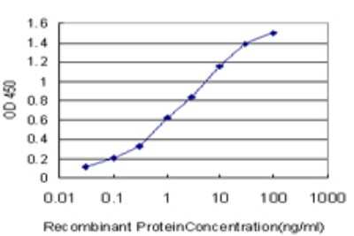 ELISA: GPR154 Antibody (2F5) [H00387129-M01]