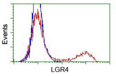 Flow Cytometry: Lgr4/GPR48 Antibody (OTI2D1) [NBP2-00974]