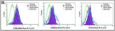 Flow Cytometry: GPR64 Antibody [NBP1-84906]