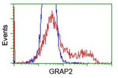 Flow Cytometry: GRAP2 Antibody (OTI1G2) [NBP2-00764]