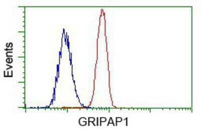 Flow Cytometry: GRASP1 Antibody (OTI1E3) [NBP2-02277]