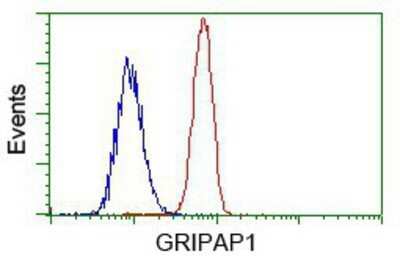Flow Cytometry: GRASP1 Antibody (OTI1E3) - Azide and BSA Free [NBP2-72064]