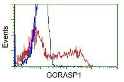 Flow Cytometry: GRASP65 Antibody (OTI5G8) [NBP2-02665]
