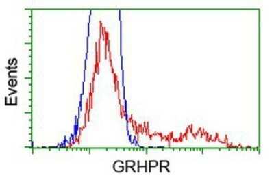 Flow Cytometry: GRHPR Antibody (OTI2H4) - Azide and BSA Free [NBP2-71430]