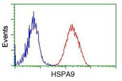 Flow Cytometry: GRP75/HSPA9B/Mortalin Antibody (OTI9F8) [NBP1-47801]