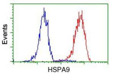 Flow Cytometry: GRP75/HSPA9B/Mortalin Antibody (OTI9F8) [NBP1-47801]