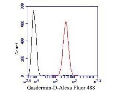 Flow Cytometry: GSDMDC1 Antibody [NBP2-80427]