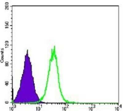 Flow Cytometry: GSK-3 beta Antibody (3D10) - Azide and BSA Free [NBP2-80757]