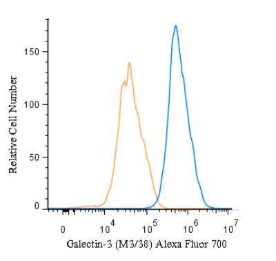 Flow (Intracellular): Galectin-3 Antibody (M3/38) - BSA Free [NBP1-43313]